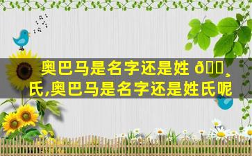 奥巴马是名字还是姓 🌸 氏,奥巴马是名字还是姓氏呢